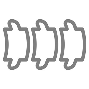 Backbone icon